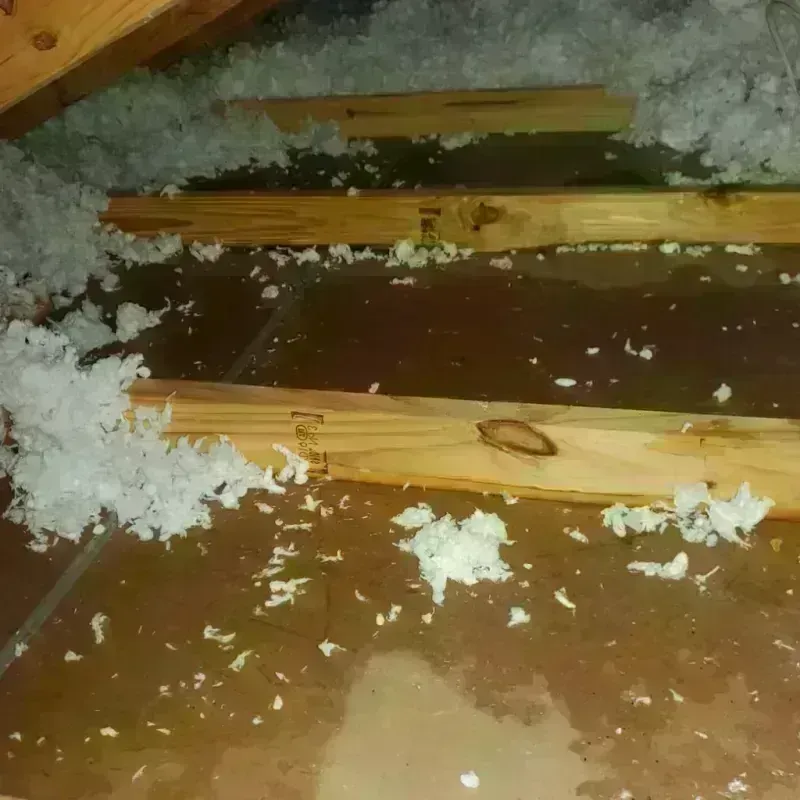 Attic Water Damage in Spring Glen, UT