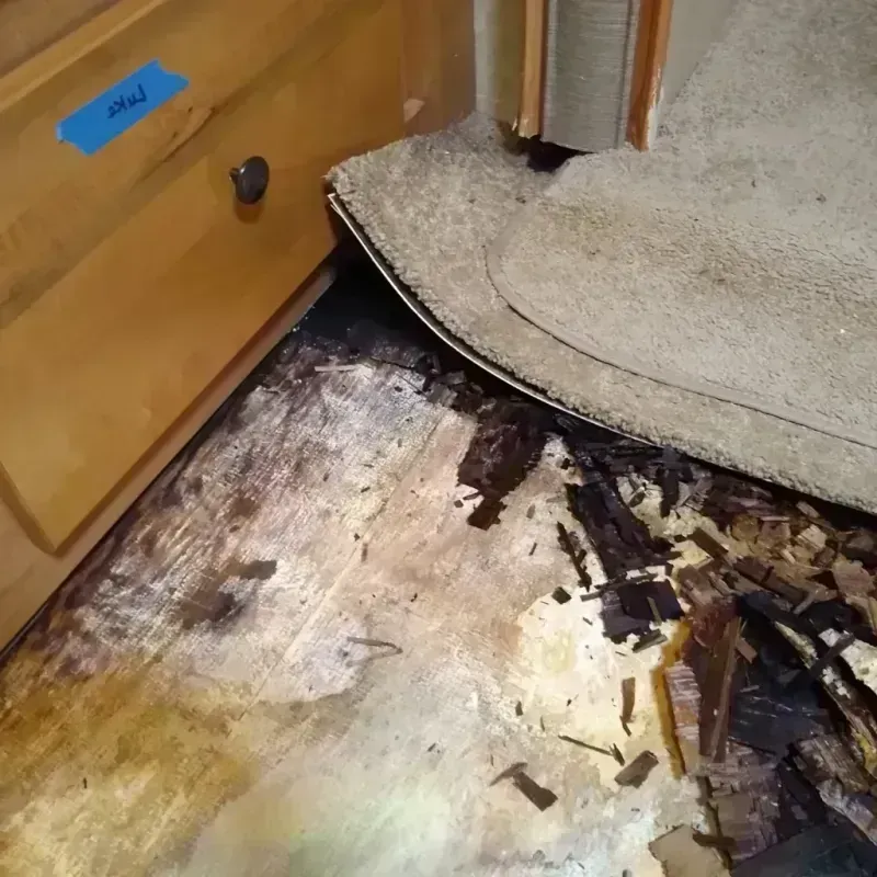 Best Wood Floor Water Damage Service in Spring Glen, UT